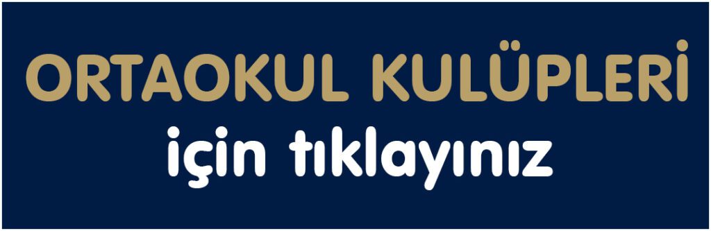 ORTAOKUL